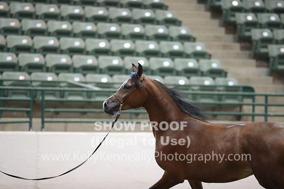 R319_MonAM_0384