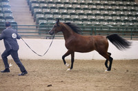 R319_MonAM_0386