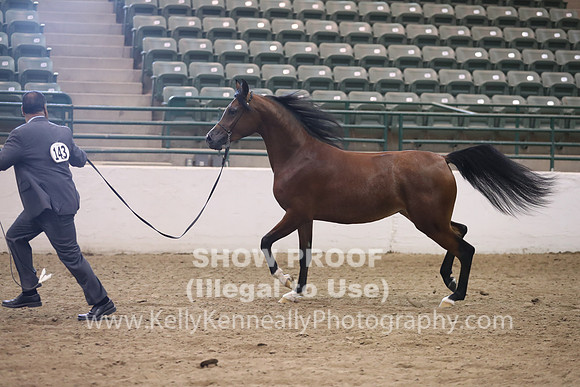 R319_MonAM_0386