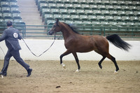 R319_MonAM_0387
