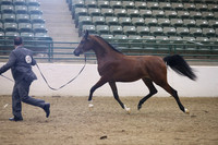 R319_MonAM_0388
