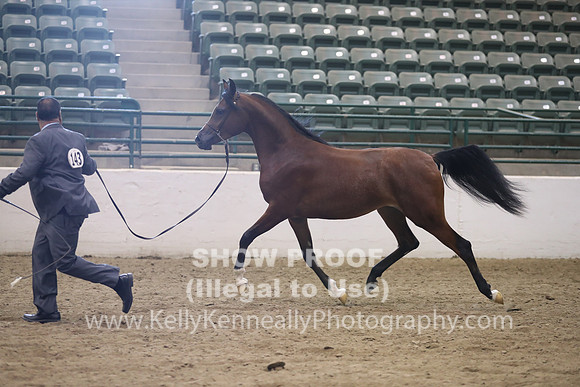 R319_MonAM_0388