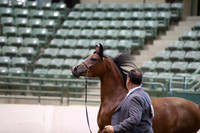 R319_MonAM_0389