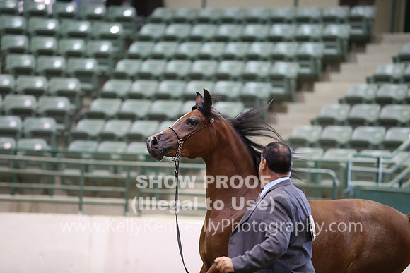 R319_MonAM_0389