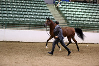 R319_MonAM_0390