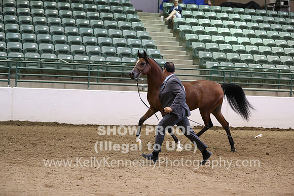 R319_MonAM_0390