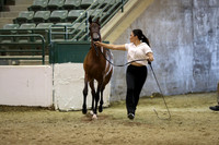 R319_MonAM_0392