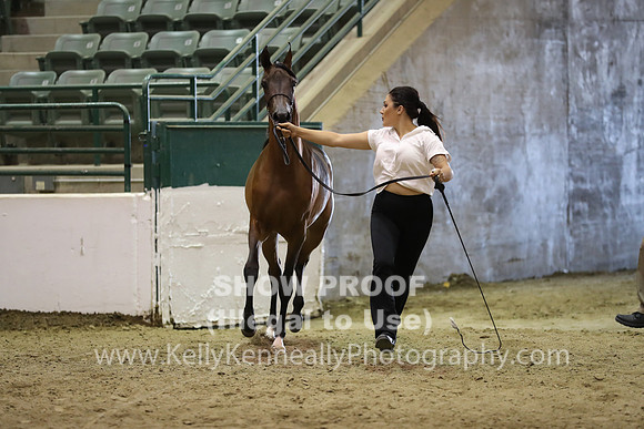 R319_MonAM_0392