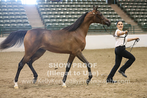 R319_MonAM_0398