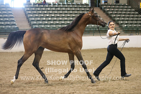 R319_MonAM_0399