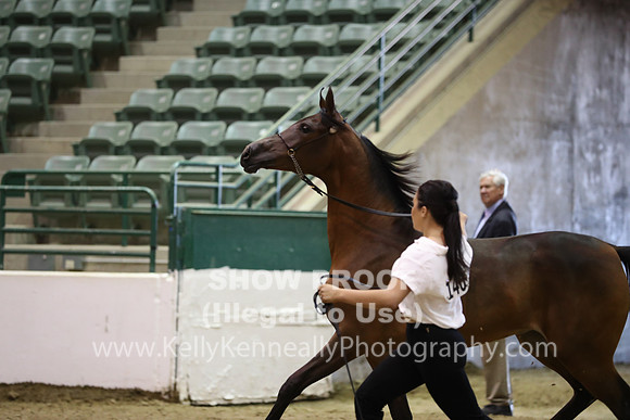 R319_MonAM_0403