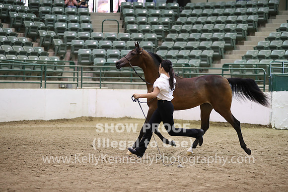 R319_MonAM_0404