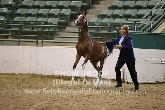 R319_MonAM_0408