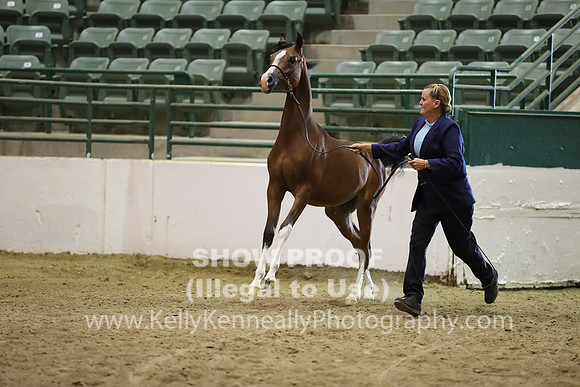 R319_MonAM_0409