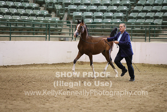 R319_MonAM_0412