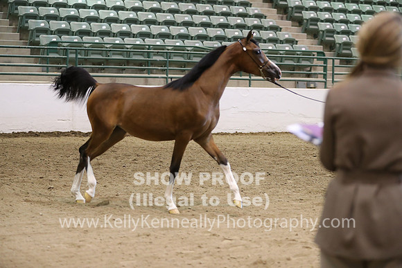 R319_MonAM_0414