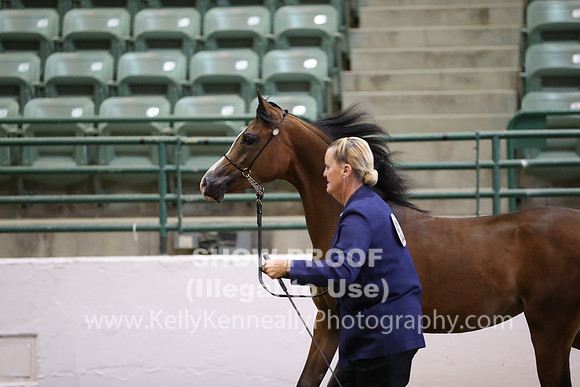 R319_MonAM_0423