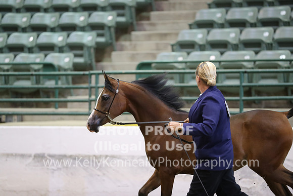 R319_MonAM_0424