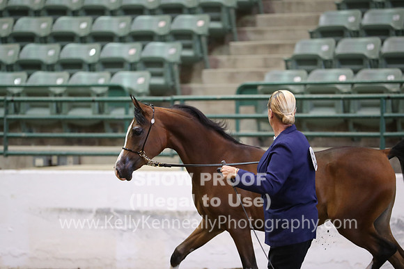 R319_MonAM_0425