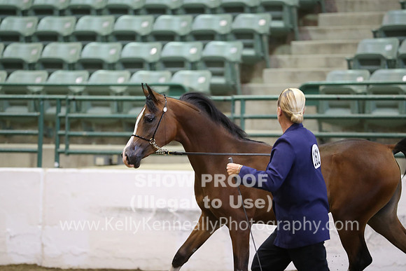 R319_MonAM_0426