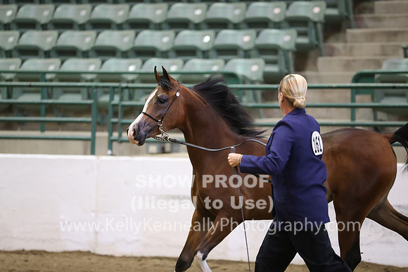 R319_MonAM_0427