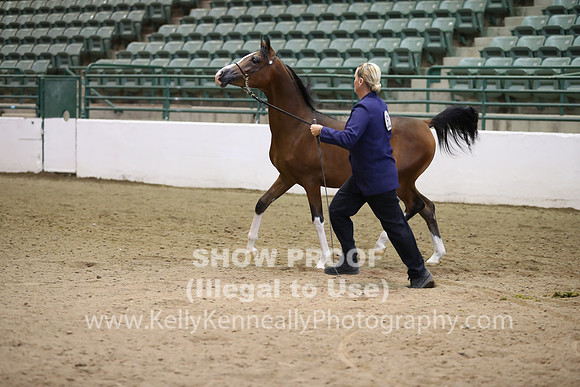 R319_MonAM_0428