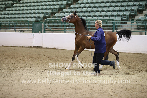 R319_MonAM_0430
