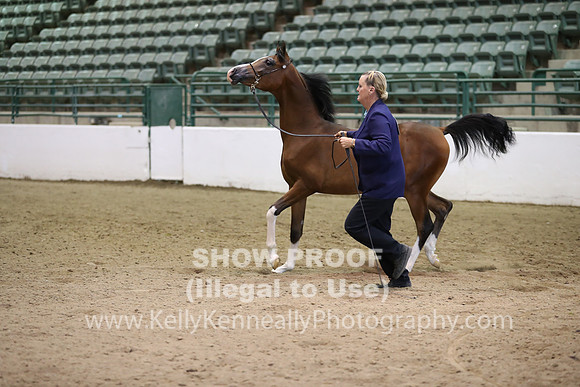 R319_MonAM_0431