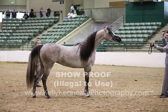 R319_MonAM_0434