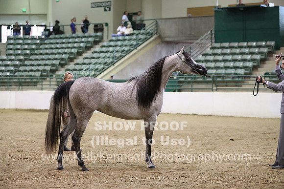 R319_MonAM_0435