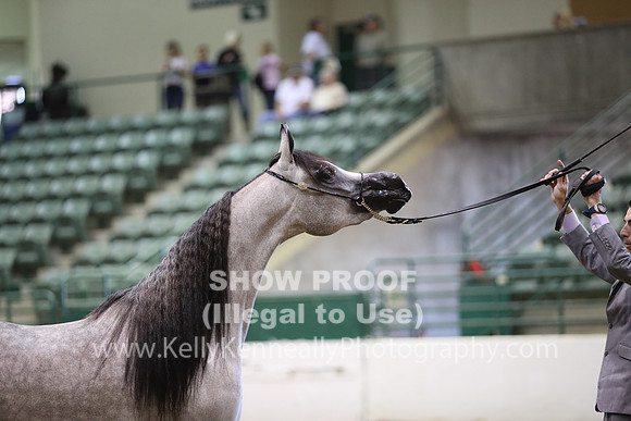 R319_MonAM_0437