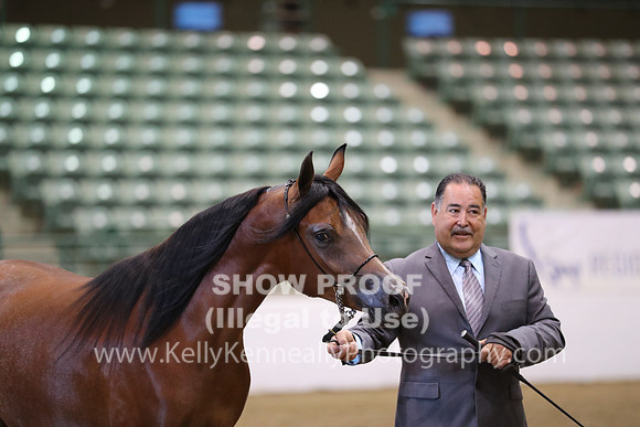R319_MonAM_0444