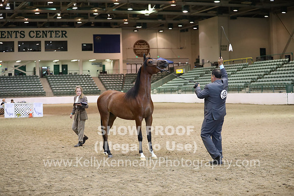 R319_MonAM_0445