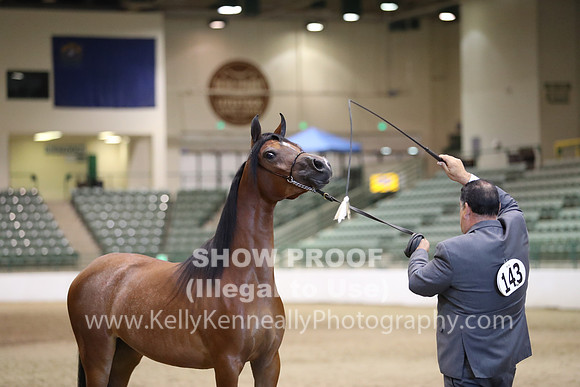 R319_MonAM_0447