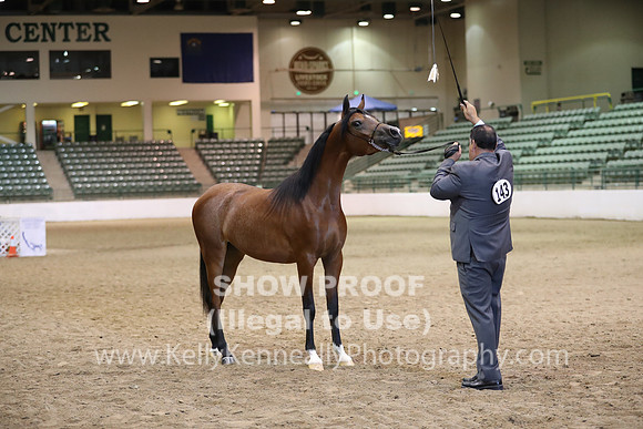 R319_MonAM_0448