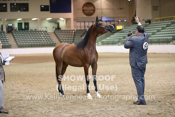 R319_MonAM_0450