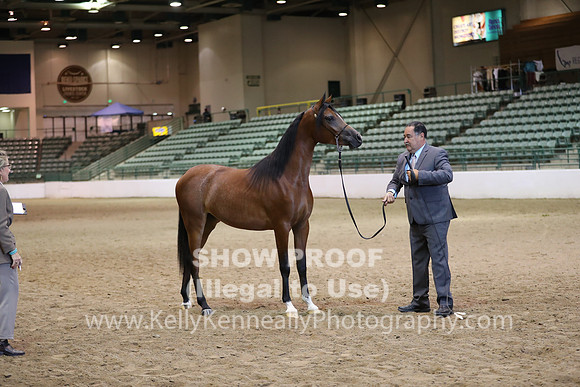 R319_MonAM_0453
