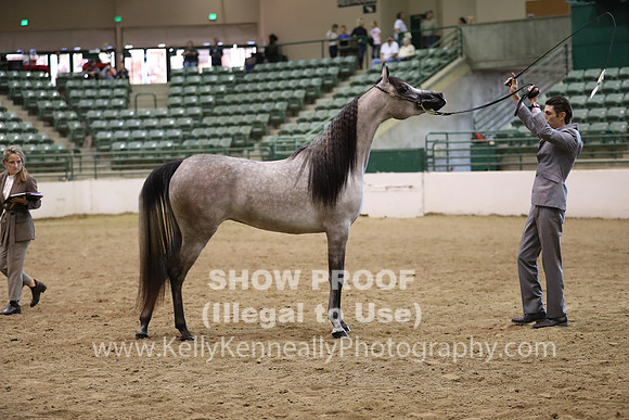 R319_MonAM_0438