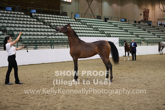 R319_MonAM_0456