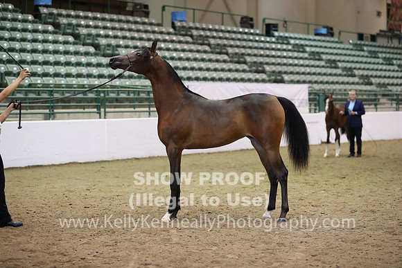 R319_MonAM_0457