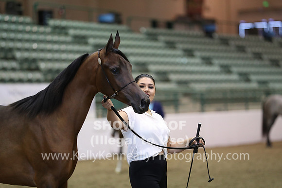 R319_MonAM_0458