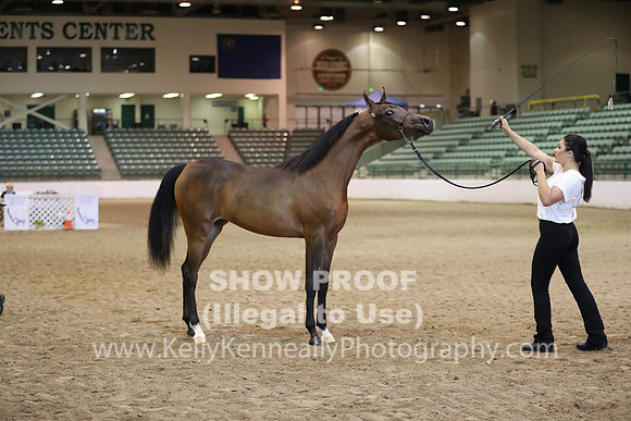 R319_MonAM_0463