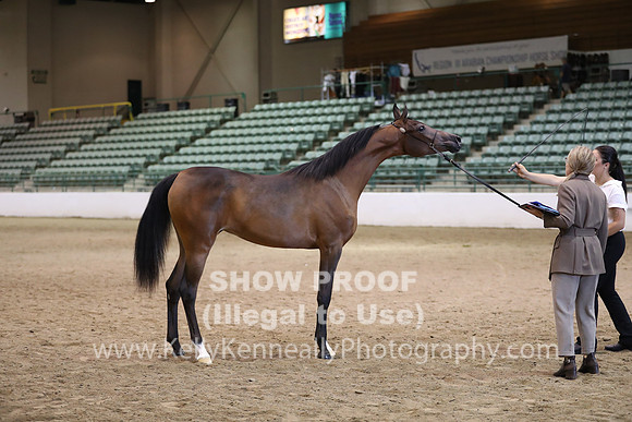 R319_MonAM_0464