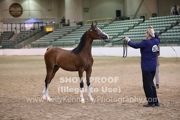 R319_MonAM_0467