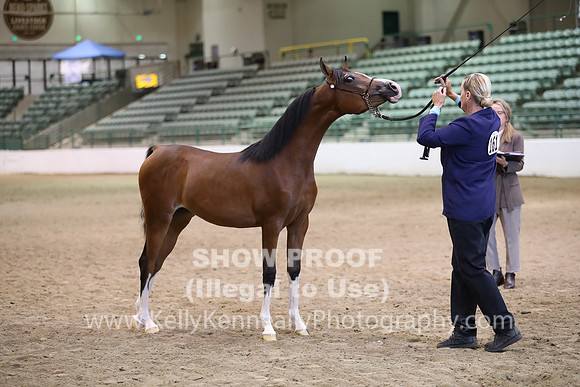 R319_MonAM_0469