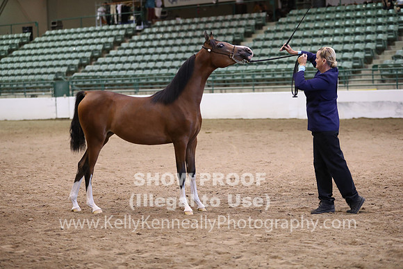 R319_MonAM_0471