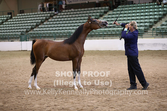 R319_MonAM_0472
