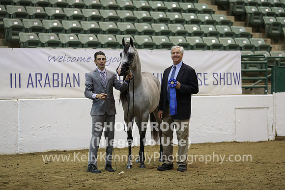 R319_MonAM_0479