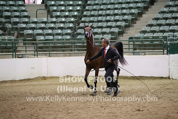 R319_MonAM_0485
