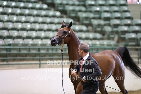 R319_MonAM_0488